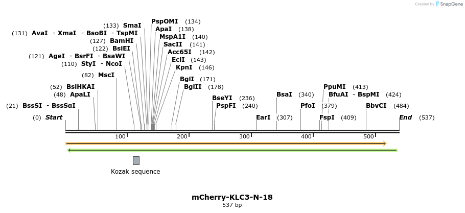 121927_map