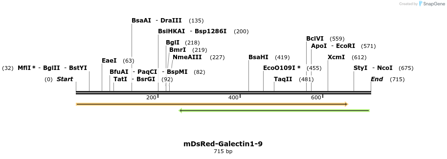 121929_map