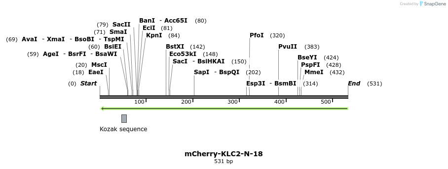 121930_map