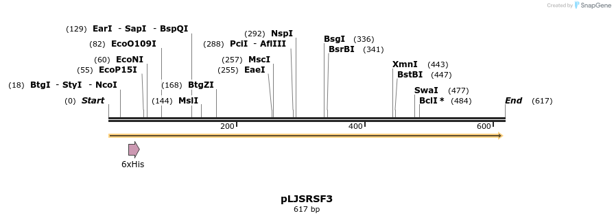 121933_map