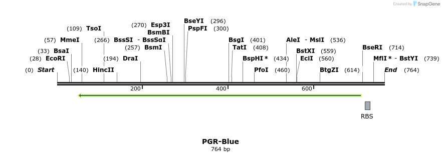 121942_map