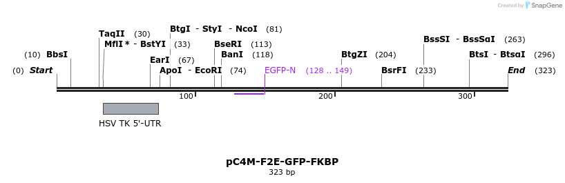 122006_map