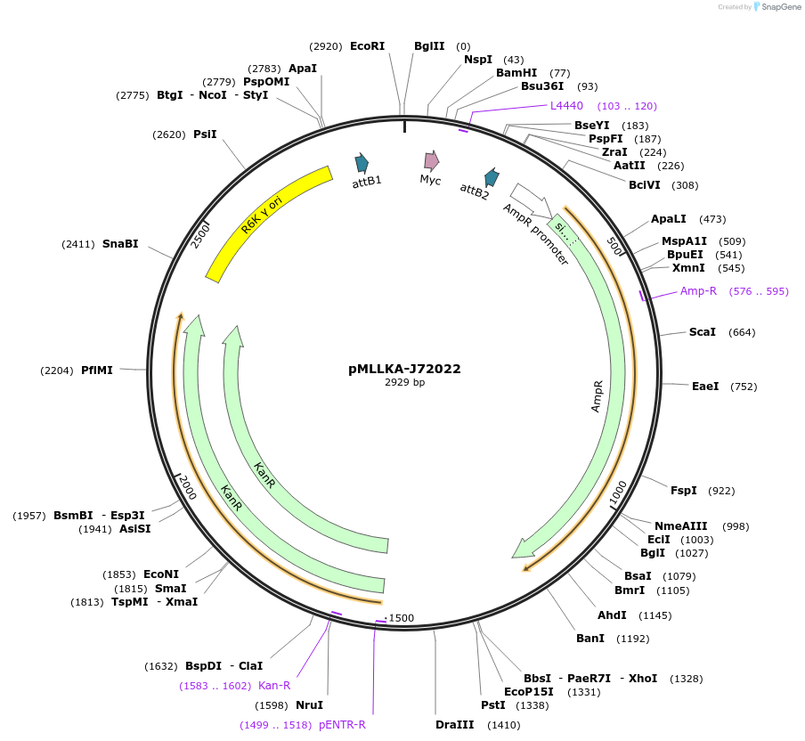 12201_map