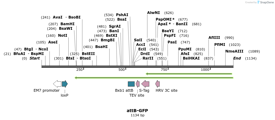 122030_map
