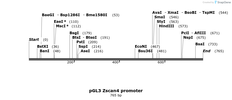 122037_map