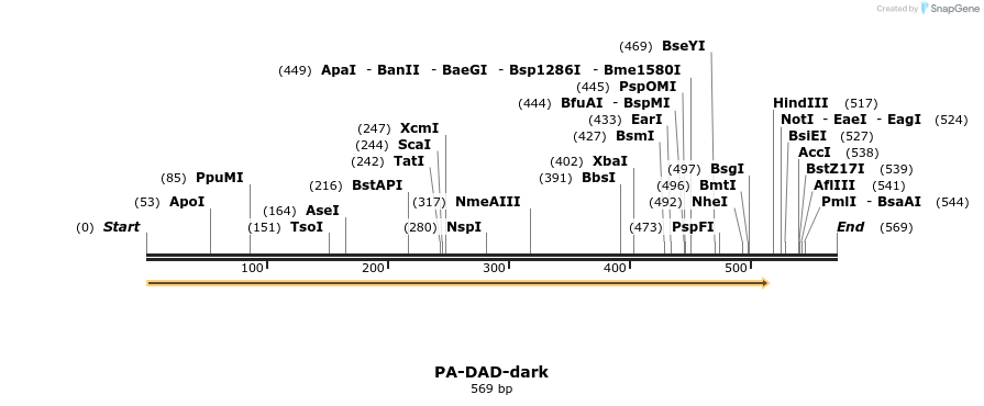 122072_map