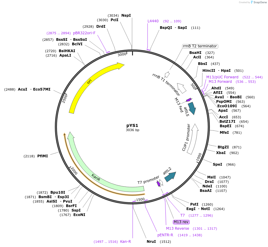 122084_map