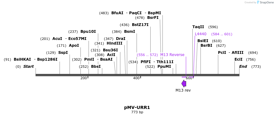 122085_map