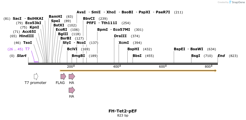 122086_map