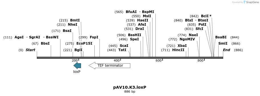 122089_map