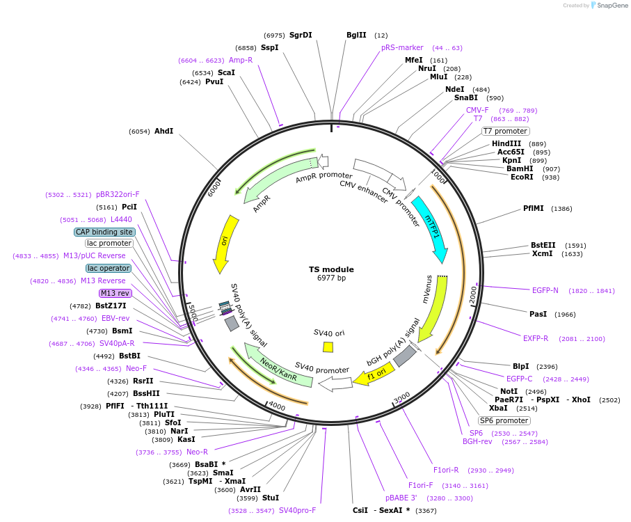 12209_map