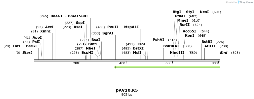 122091_map