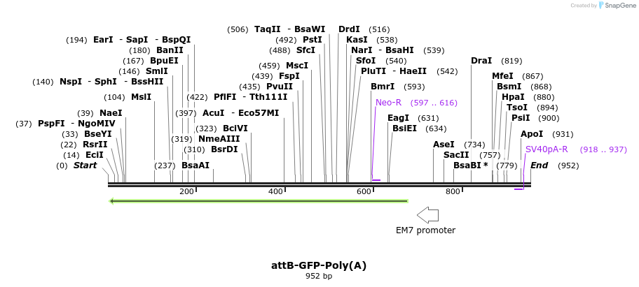 122098_map