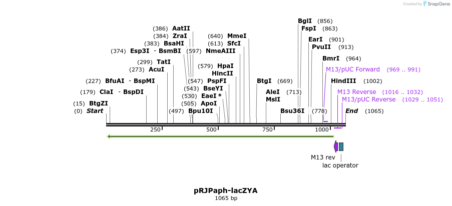 122148_map