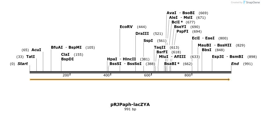 122149_map
