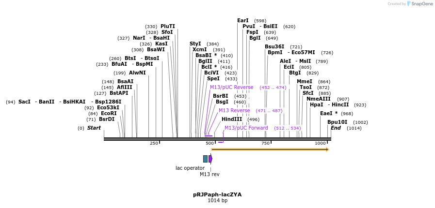 122151_map