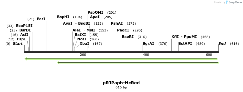 122157_map