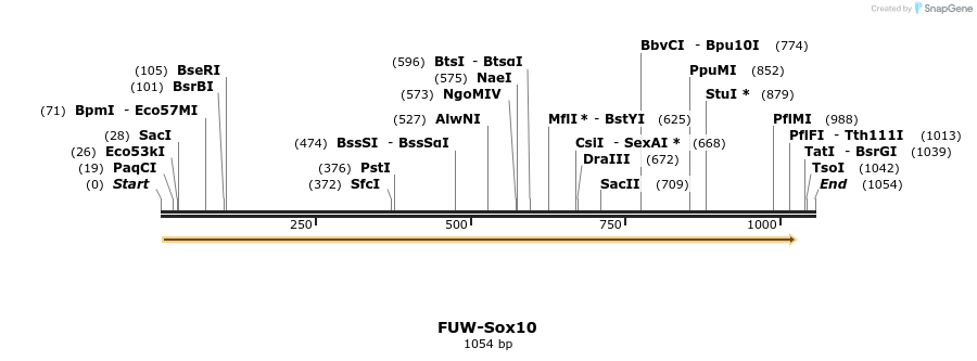 122160_map