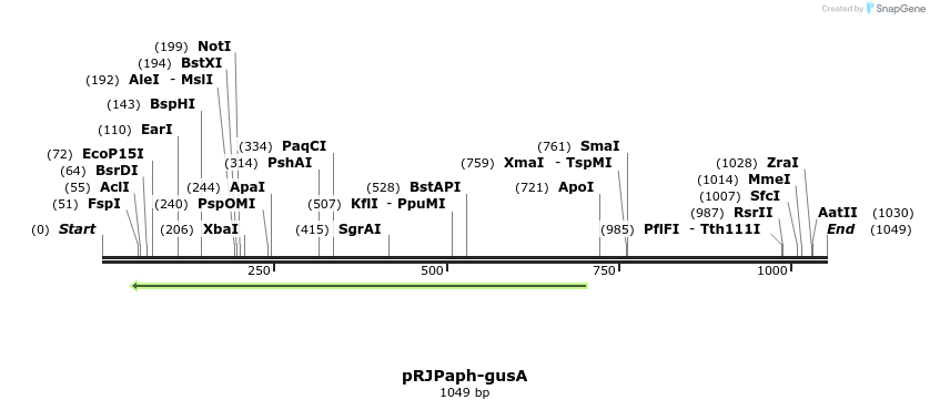 122161_map