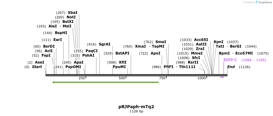 122162_map