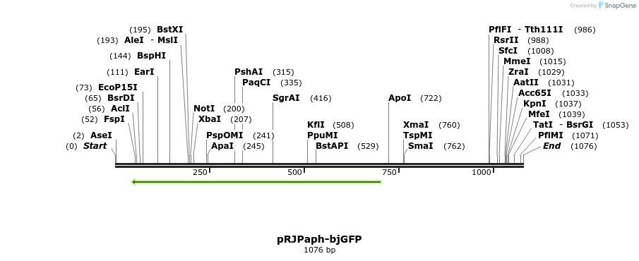 122163_map