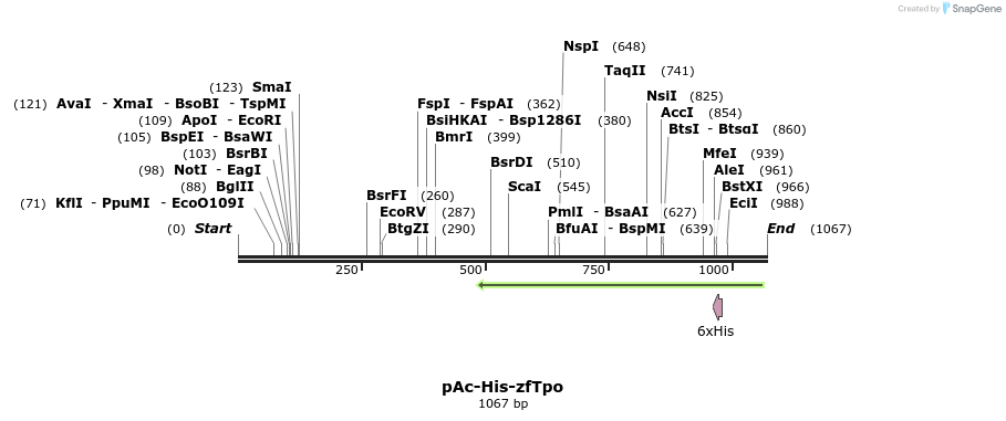 122164_map
