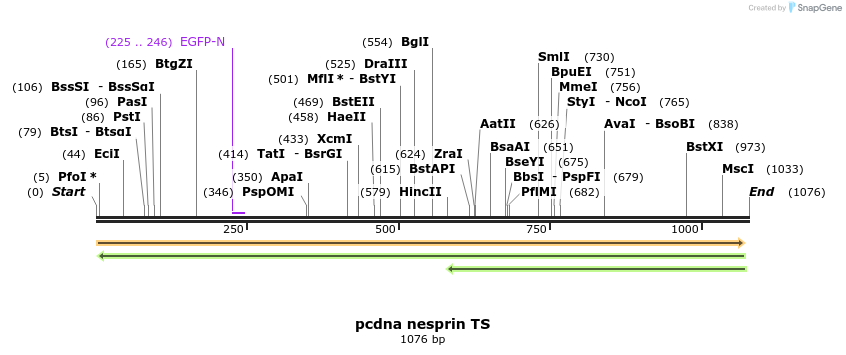 122167_map