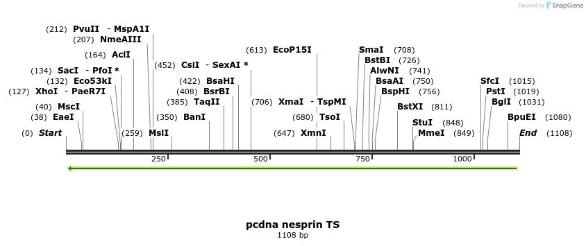 122168_map