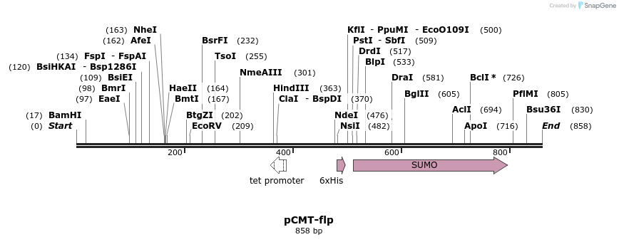 122189_map