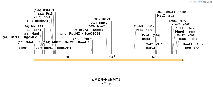122194_map