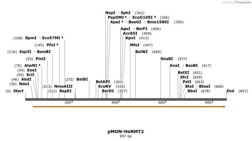 122195_map