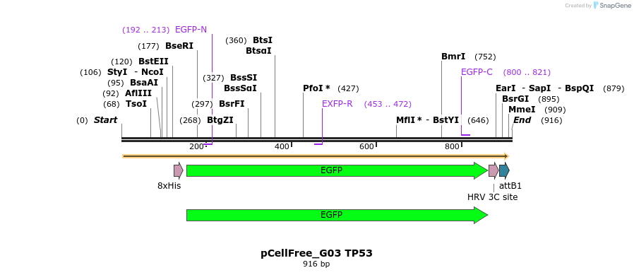 122196_map