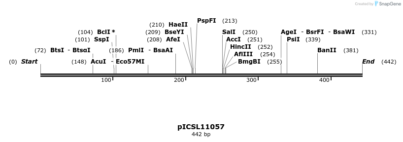 122197_map