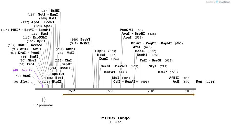 122198_map