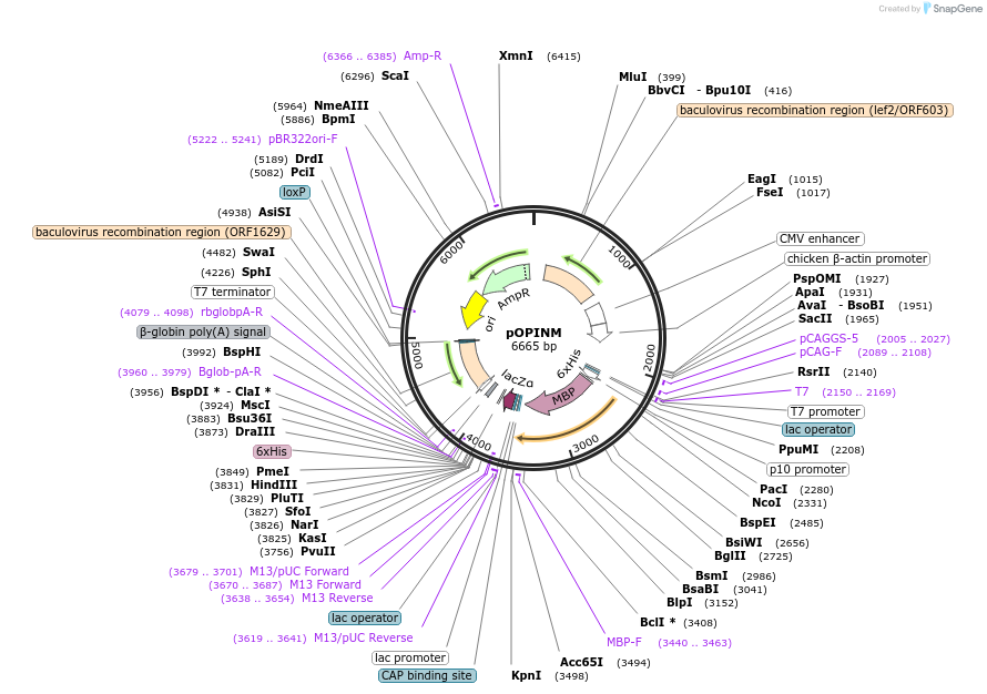 12220_map