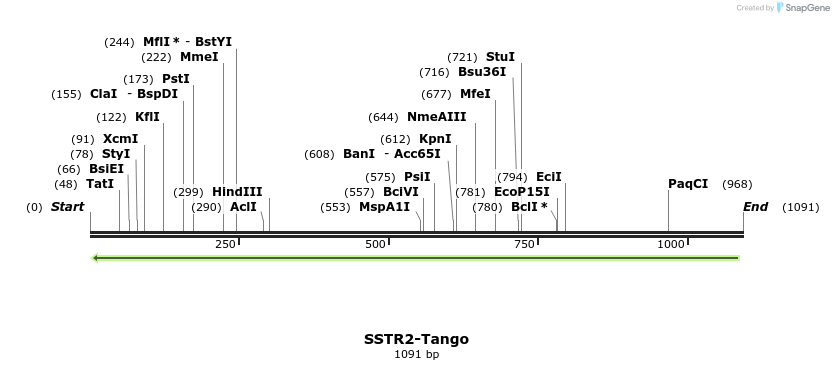 122202_map