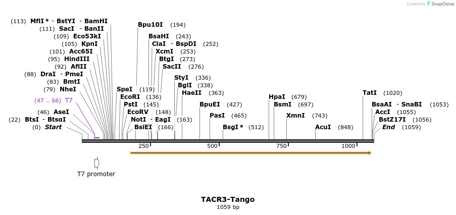 122208_map
