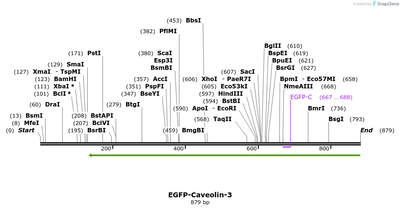 122210_map