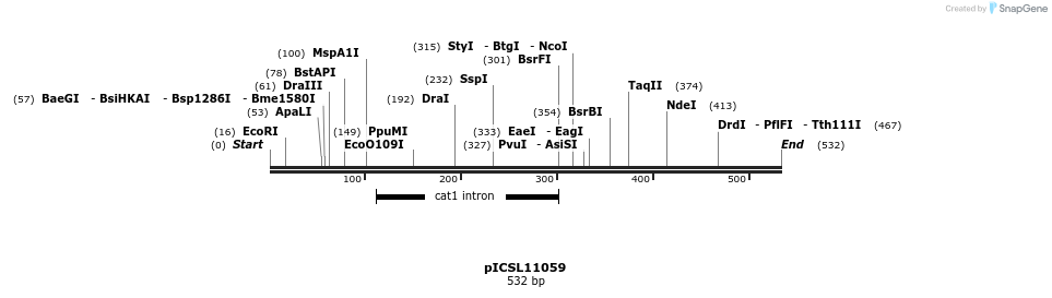 122216_map