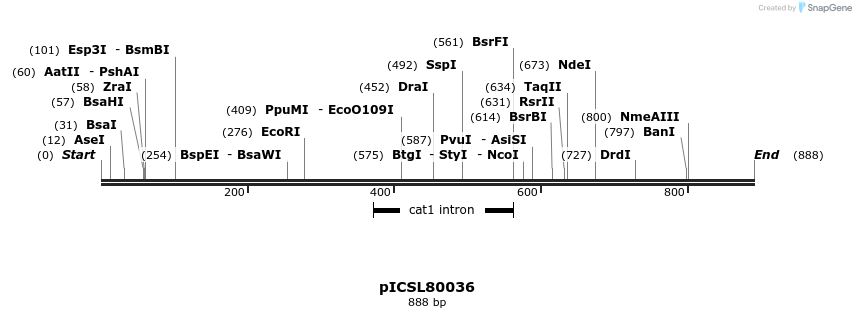 122221_map