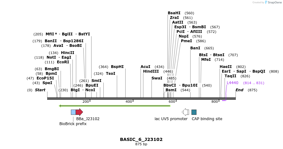 122236_map