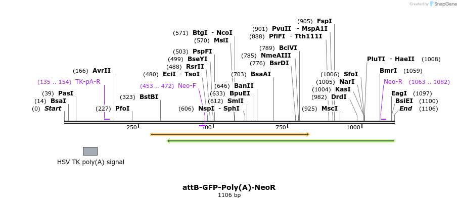122237_map