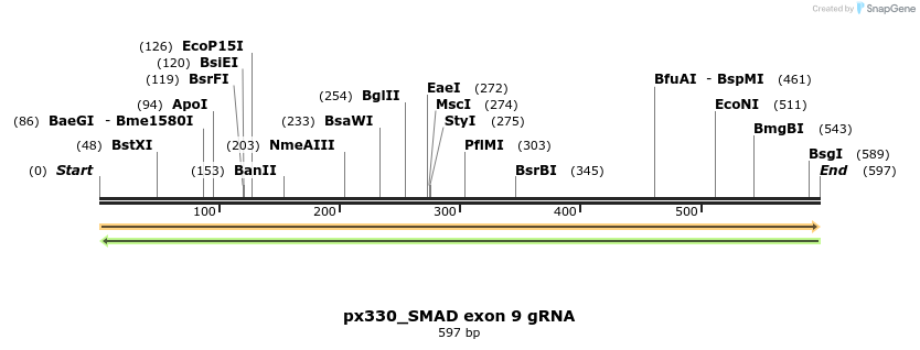 122248_map