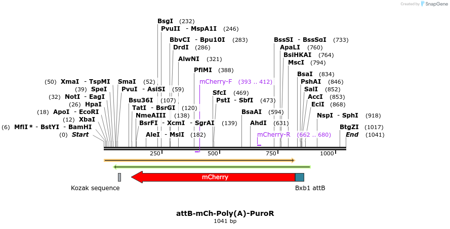 122249_map