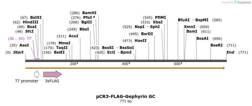 122251_map
