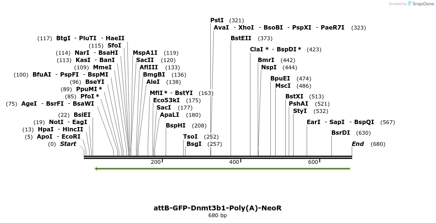 122257_map