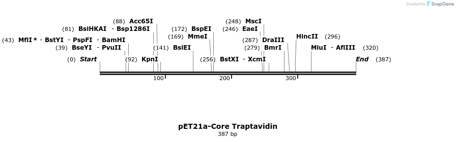 12226_map
