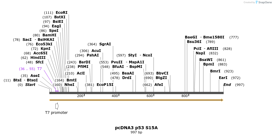 122264_map