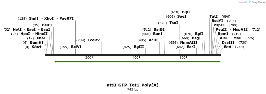 122267_map