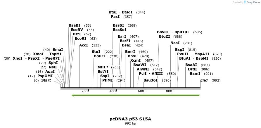 122271_map